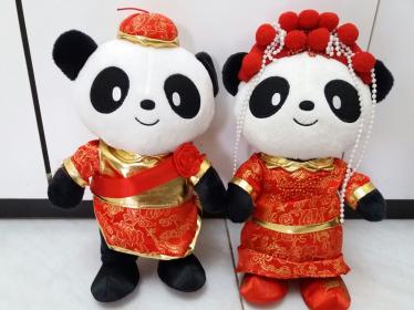 花車熊仔公仔經典款